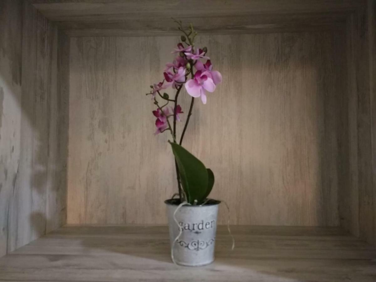Tudela Balcon De Bardenas 아파트 외부 사진